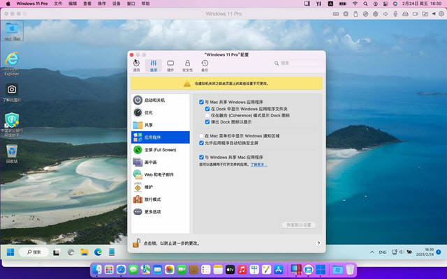 启动PD虚拟机的Windows程序